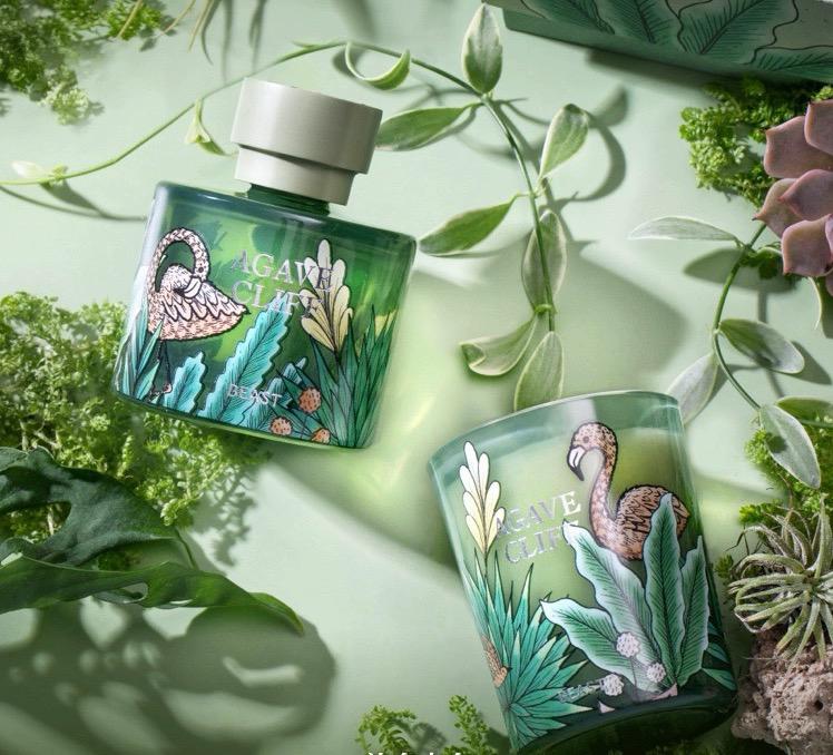 Jungle Collection Fragrance Gift Box